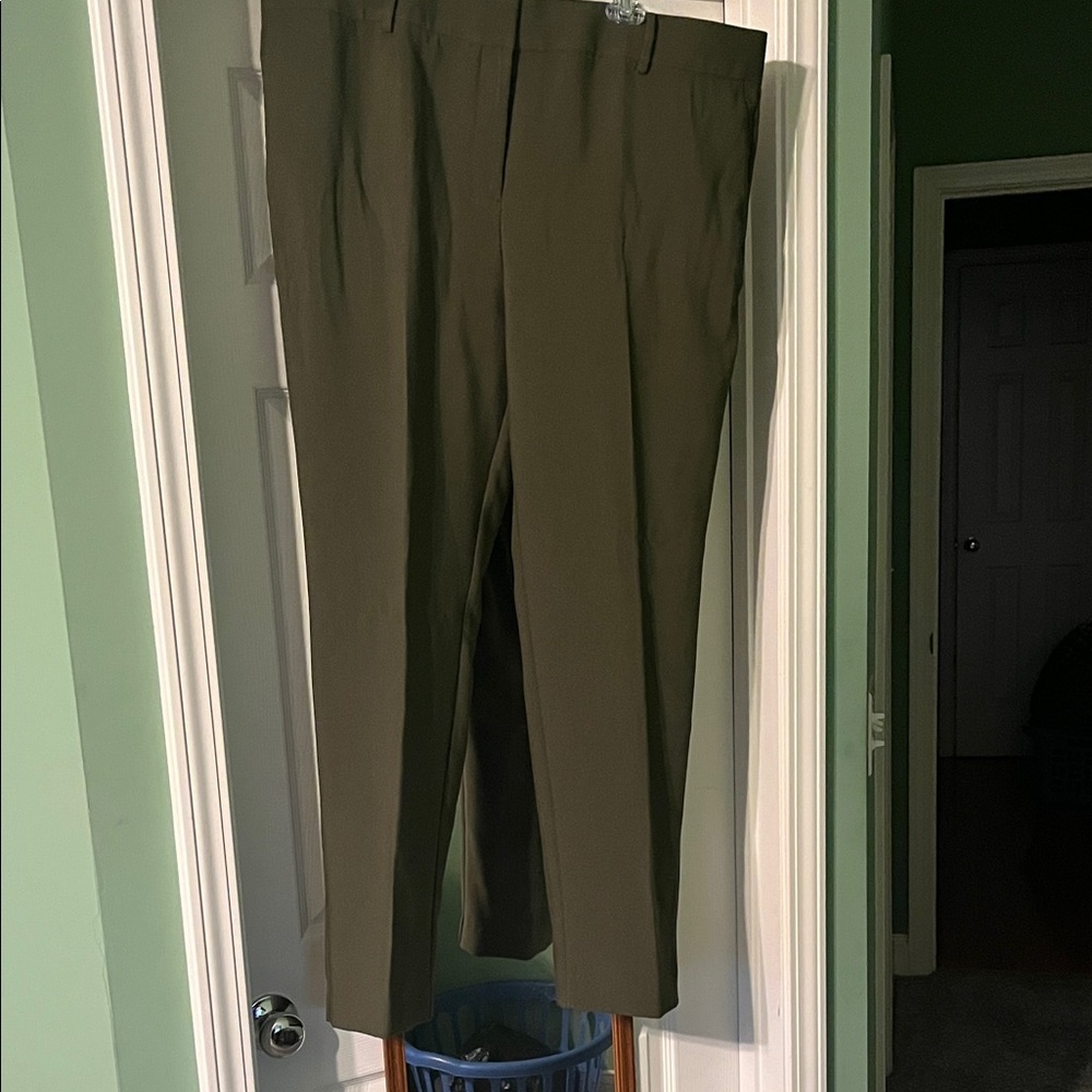 Ann Taylor Olive Mid Rise, Slim leg; Ankle Length, 18T